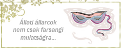 Állatos álarcok nem csak farsangra